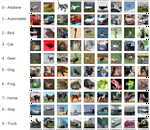 How to build a Convolutional Neural Network from scratch using tf.keras for Image Classification