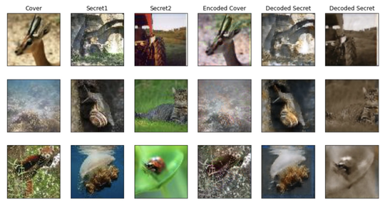 Multi-Image Steganography Using Deep Neural Networks